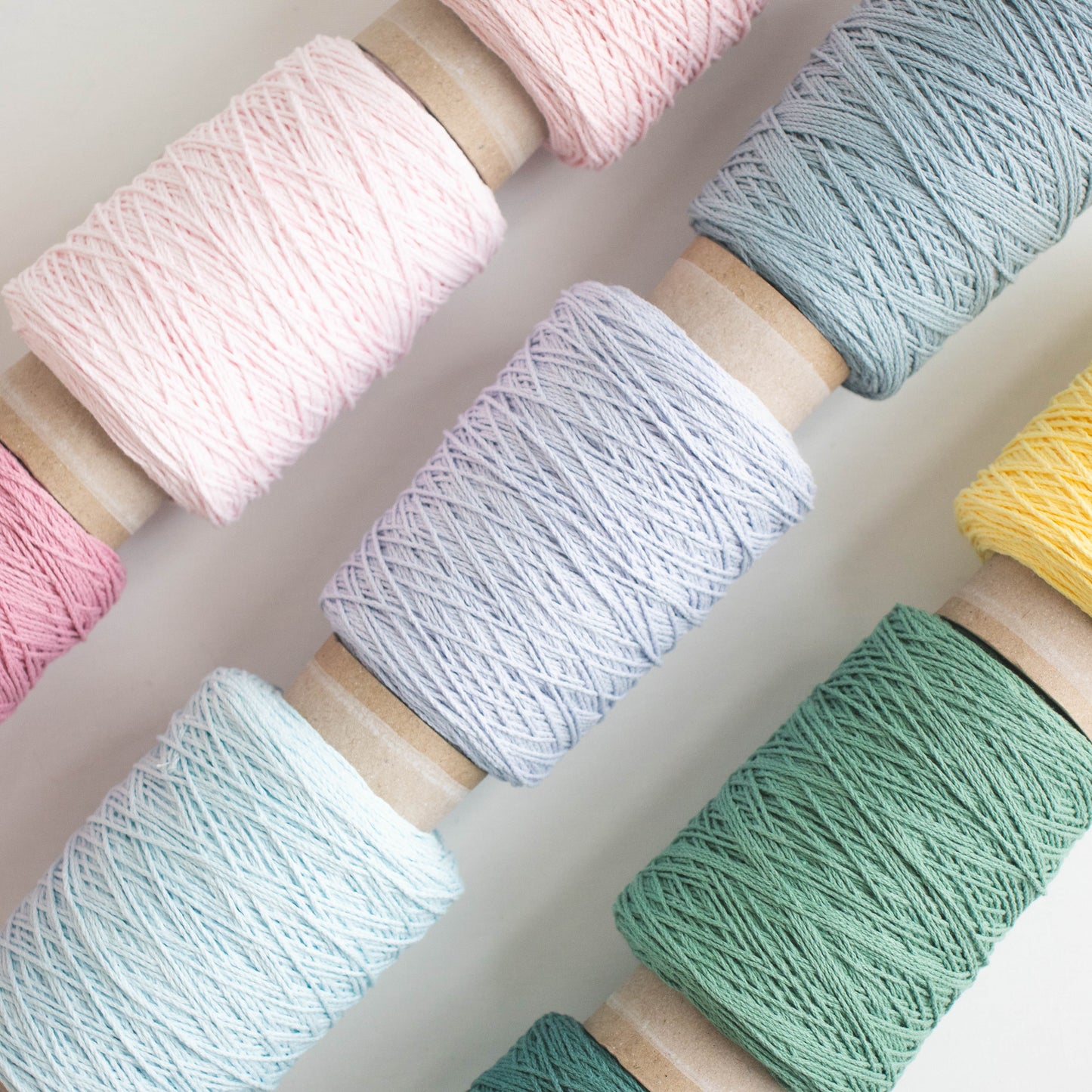 シャブリ(100g)